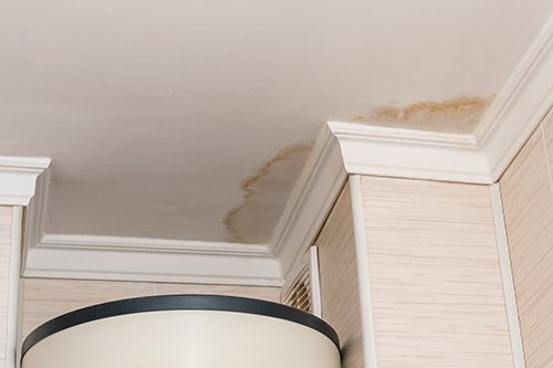 Is Mold, Must, and Dampness the Cause?