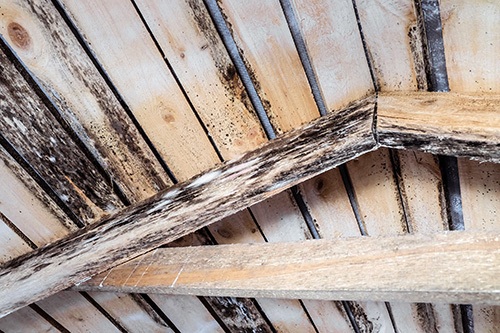 Moist air escaping into your cold attic promotes mold growth & wood rot