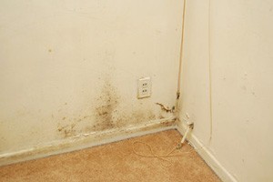Solving Indoor Air Quality Concerns in Northern NJ